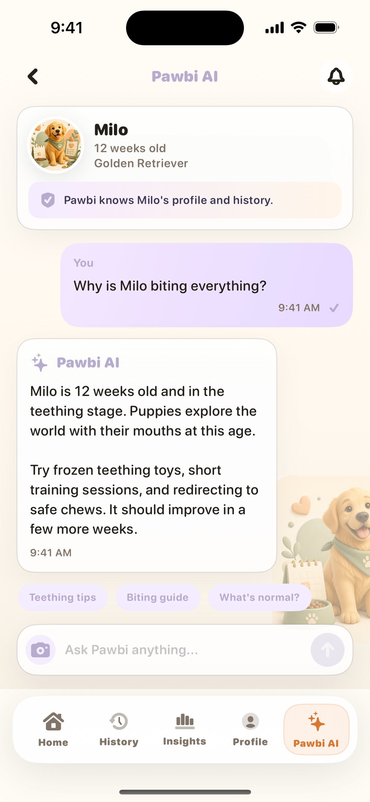Pawbi AI care chat screen
