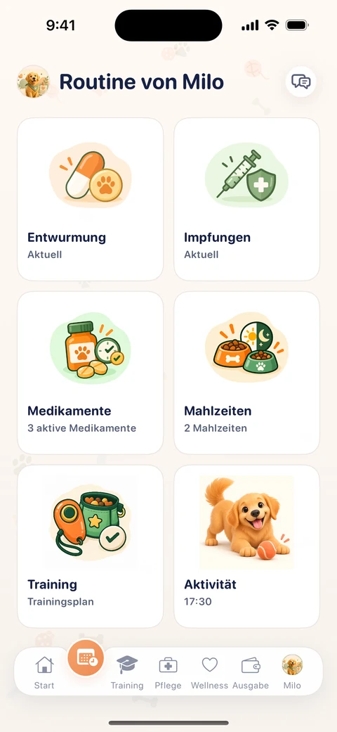 Täglicher Versorgungsplan