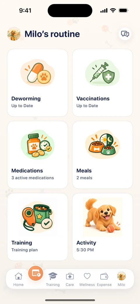 Daily care plan