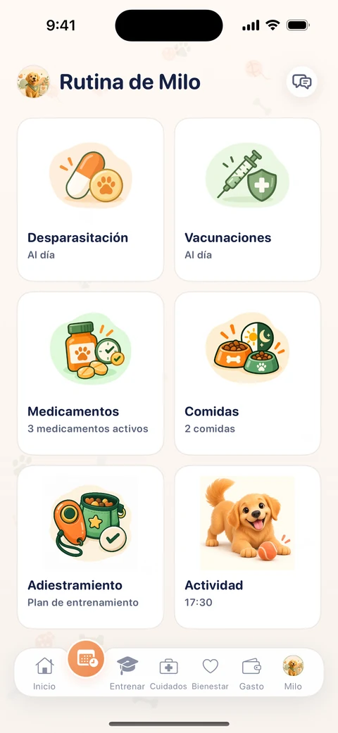 Plan diario de cuidados