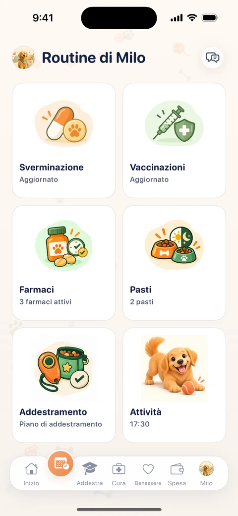 Piano di cura quotidiano